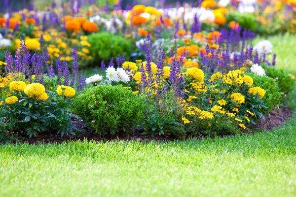 Flower Bed Maintenance in Midlothian