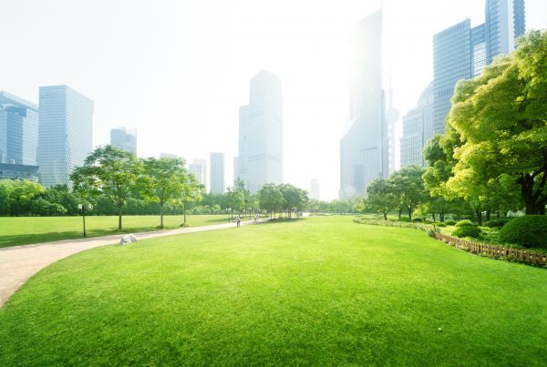 Commercial Landscape Maintenance in Midlothian