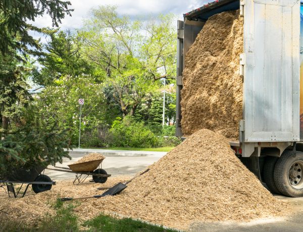 Wood Chips Delivery in Midlothian