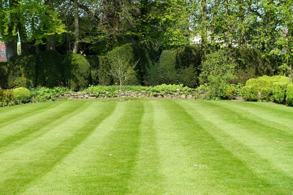 Lawn Renovation in Midlothian