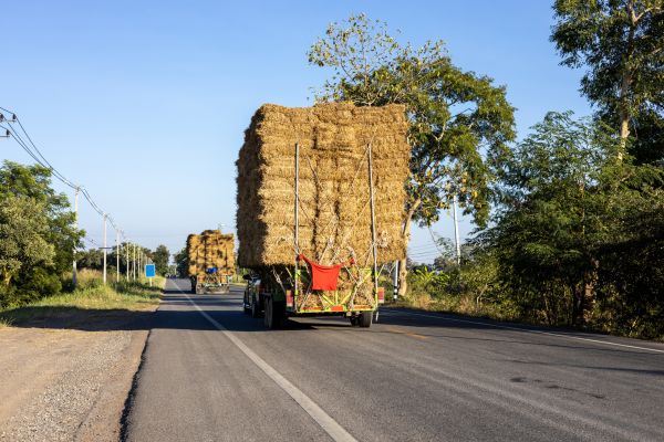 Pine Straw Delivery in Midlothian