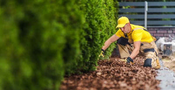 Cypress Mulch Installation in Midlothian