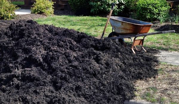 Black Mulch Installation in Midlothian
