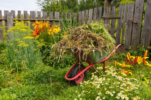 Garden Cleanup Service in Midlothian