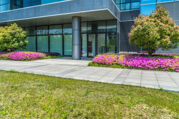 Commercial Gardening in Midlothian
