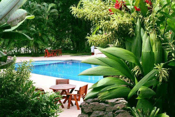 Tropical Garden Landscaping in Midlothian