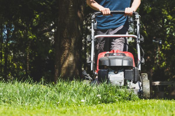 Garden Trimming Service in Midlothian