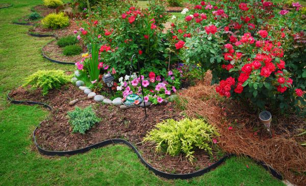 Floral Landscaping in Midlothian