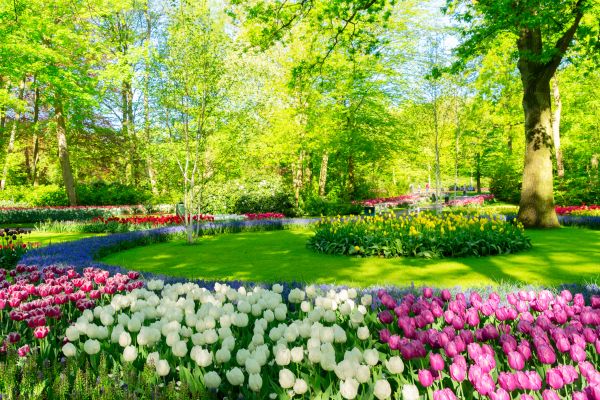 Flower Landscaping in Midlothian