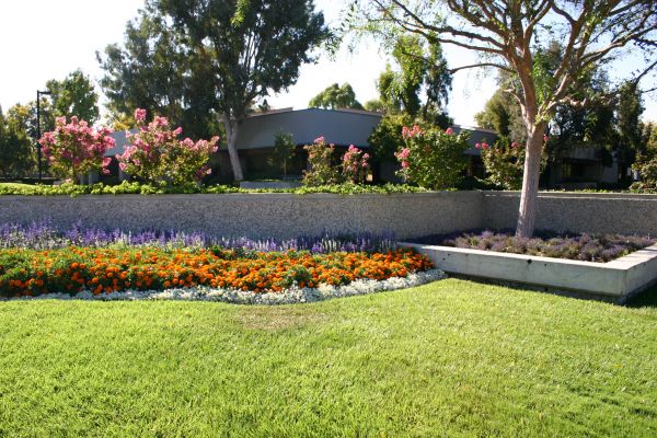 Commercial Landscape Service in Midlothian