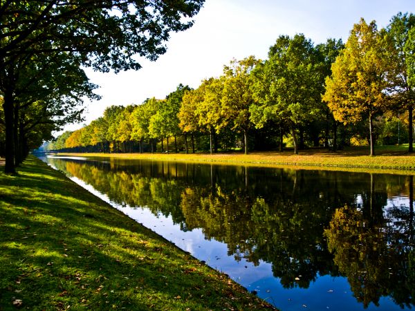Bank Landscaping in Midlothian