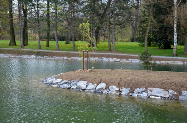 Pond Landscaping Service in Midlothian