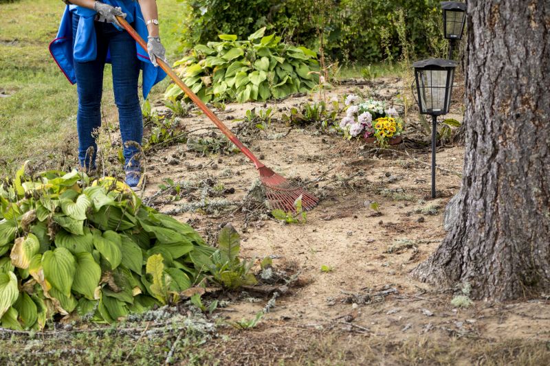 Flower Bed Cleanup Service