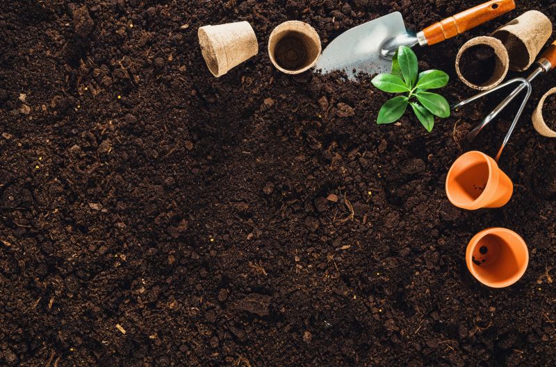 Ground Cover Planting