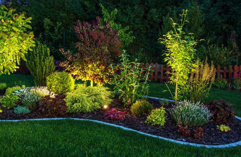 Lighting and Hardscapes